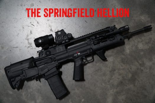 The Springfield Armory Hellion