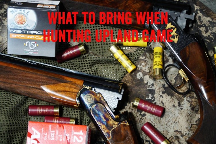 What to Bring When Hunting Upland Game