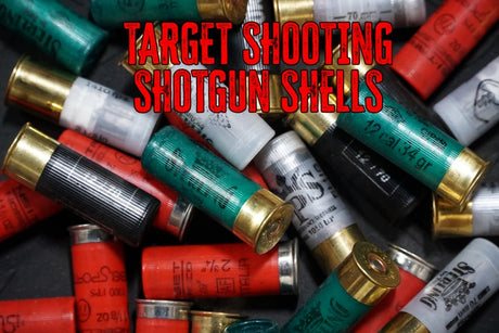 Best Shotgun Shells for Target Practice