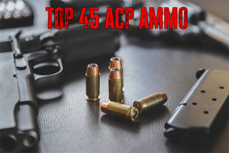 Top 5 Best 45 ACP Ammo for Target Practice