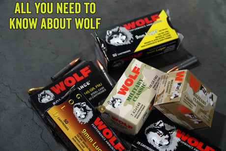 All You Need to Know About Wolf