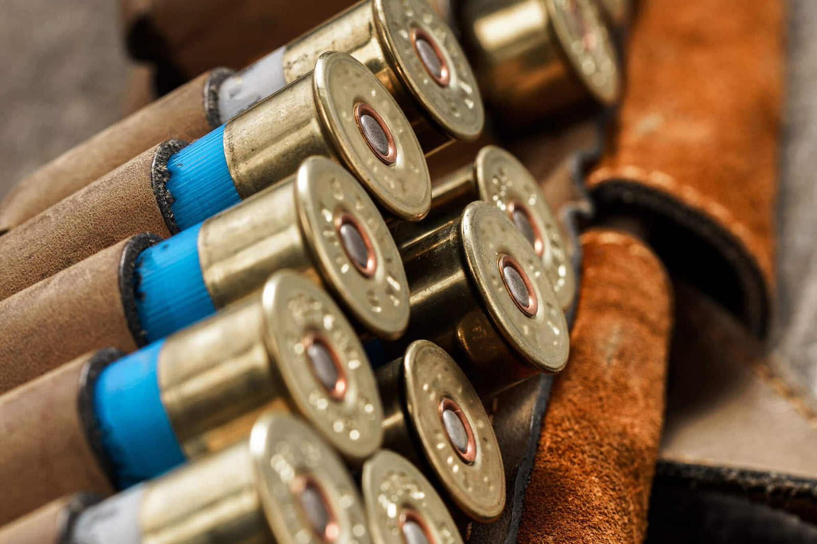 Shotgun Ammo Buyers Guide