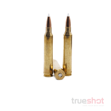 Armscor-300-Win-Mag-180-Grain-Accubond.