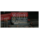 Barnaul Ammunition - 300 Blackout - 147 Grain - FMJ