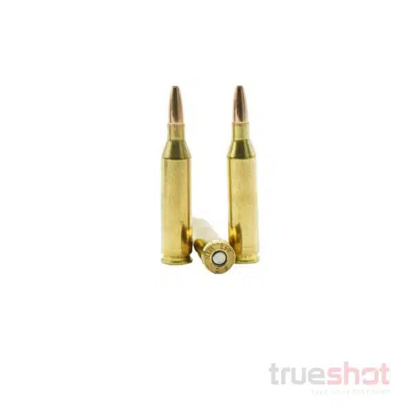 Federal - Varmint & Predator - 243 Win - 75 Grain - JHP