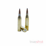 Fiocchi-243-Win-100-Grain-PSP