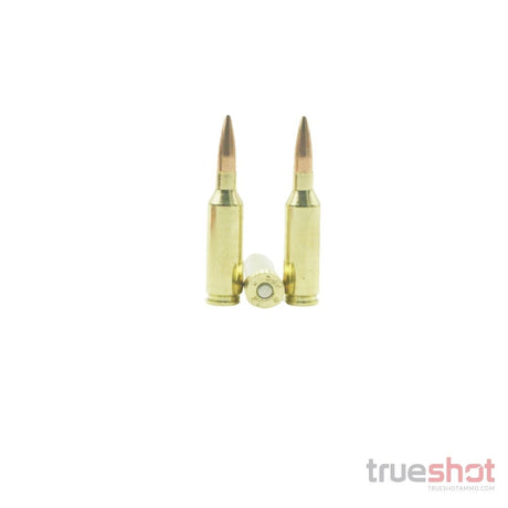 HSM - 22 ARC - 75 Grain - HPBT Match
