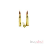 Hornady - LEVERevolution - 308 Marlin - 160 Grain - FTX