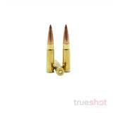Hornady - American Whitetail - 300 Blackout - 110 Grain - CX