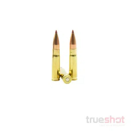 Hornady - Black - 300 Blackout - 110 Grain - NTX