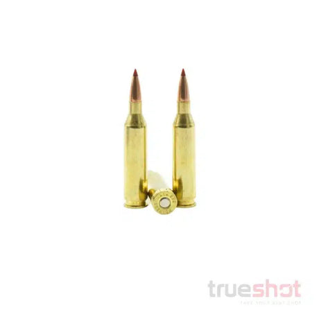 Hornady - Precision Hunter - 243 Win - 90 Grain - ELD-X