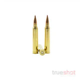 Hornady - Superformance - 300 Win Mag - 165 Grain - CX