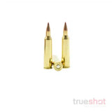 Hornady - Superformance Varmint - 22-250 Rem - 35 Grain - NTX