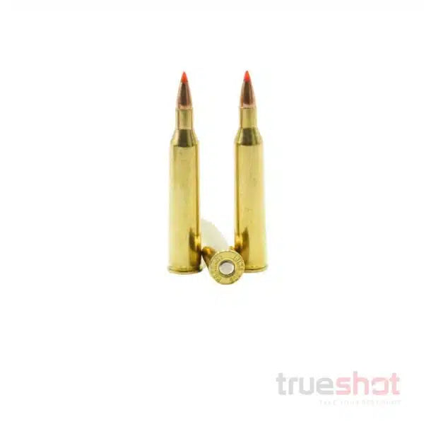 Hornady - Varmint Express - 220 Swift - 55 Grain - V-Max