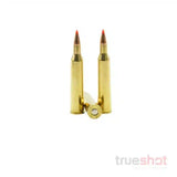 Hornady - Varmint Express - 220 Swift - 55 Grain - V-Max
