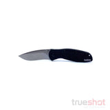 Kersahw-Blur-Black-Stainlesss-1670S30V