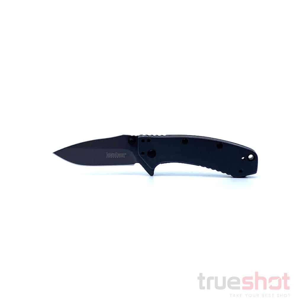 Kershaw - Cryo - Gray - 8Cr13MoV - 2.75"