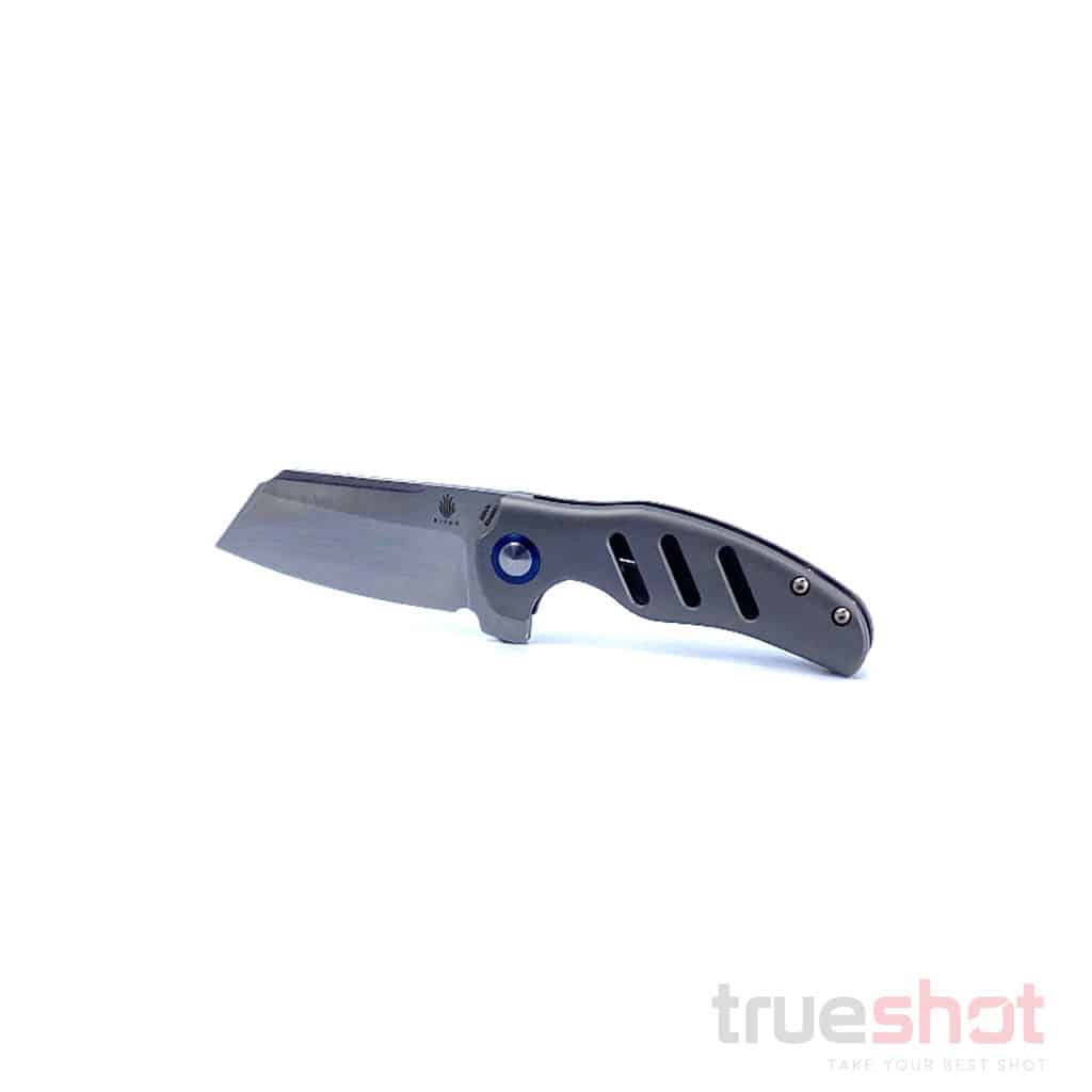 Kizer - Mini Sheepdog C01C - Titanium - CPM S35VN - 2.625"