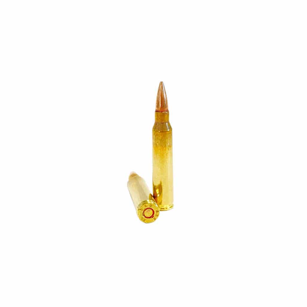 Magtech - 5.56x45mm - 55 Grain - FMJ