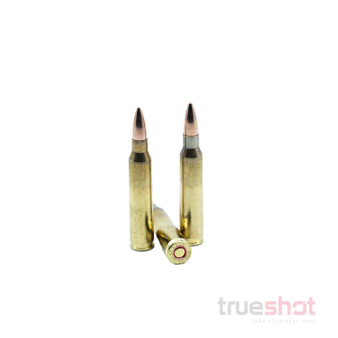 Prvi Partizan (PPU) - NEMO - 5.56x45mm - 55 Grain - FMJ