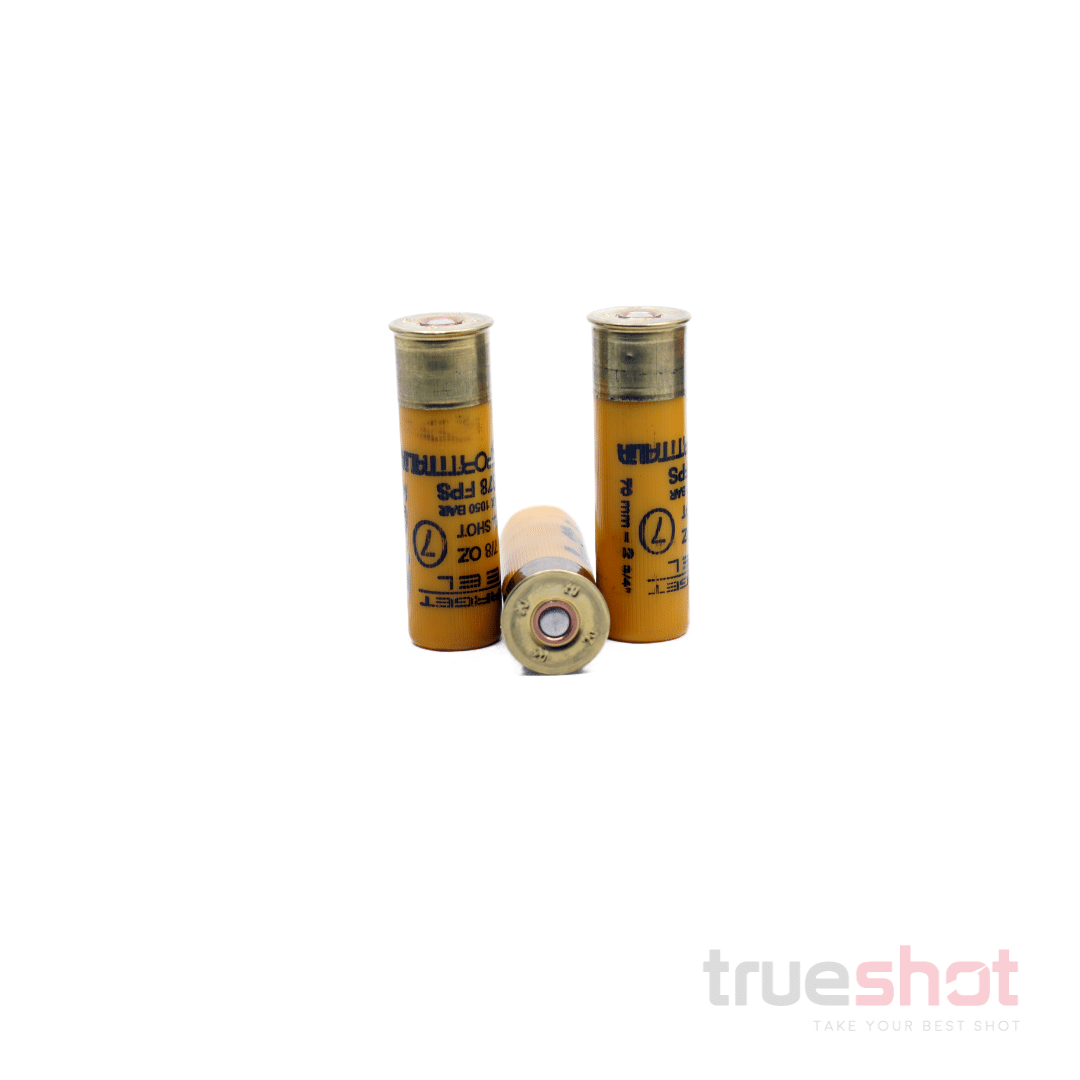 NSI-Target-Steel-20-GA-7-Shot-1378-FPS-