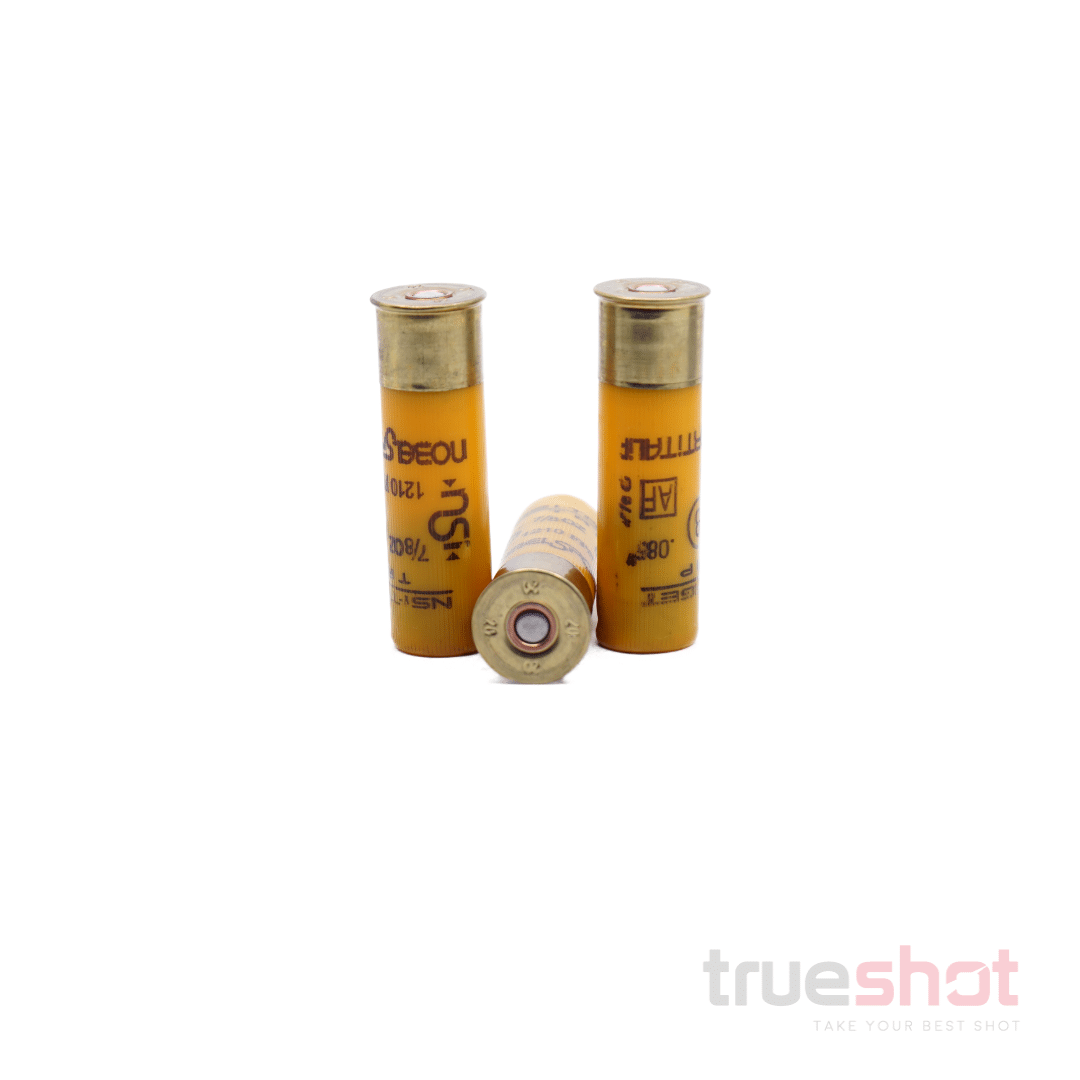 NSI-Target-Trap-20-GA-8-Shot-1210-FPS