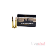 Nosler - Trophy Grade - 30-06 Springfield - 180 Grain - Accubond SP