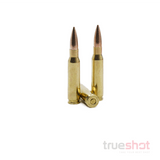 PMC - X-TAC Match - 308 Win - 168 Grain - OTM