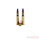 Prvi Partizan (PPU) - .30-30 Win - 170 Grain - FSP