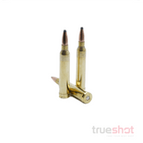 PPU - 300 Win mag - 180 Grain SP