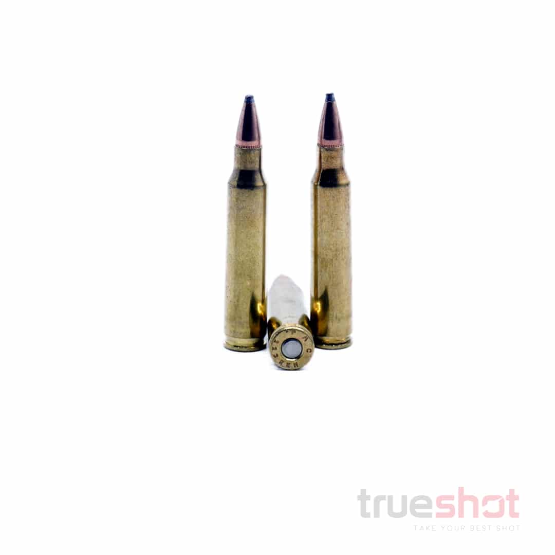 Precision-One-223-Rem-55-Grain-SP-250-ROUND-BOX