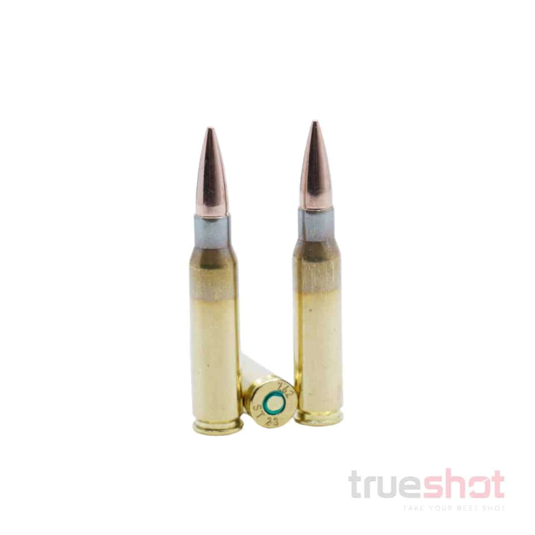 Saltech Swiss Range - 7.62x51 - M80 - 150 Grain - FMJ