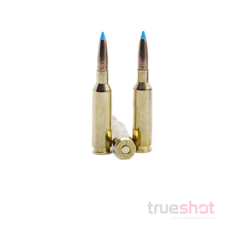 Sellier-bellot-6.5-Creedmoor-Exergy