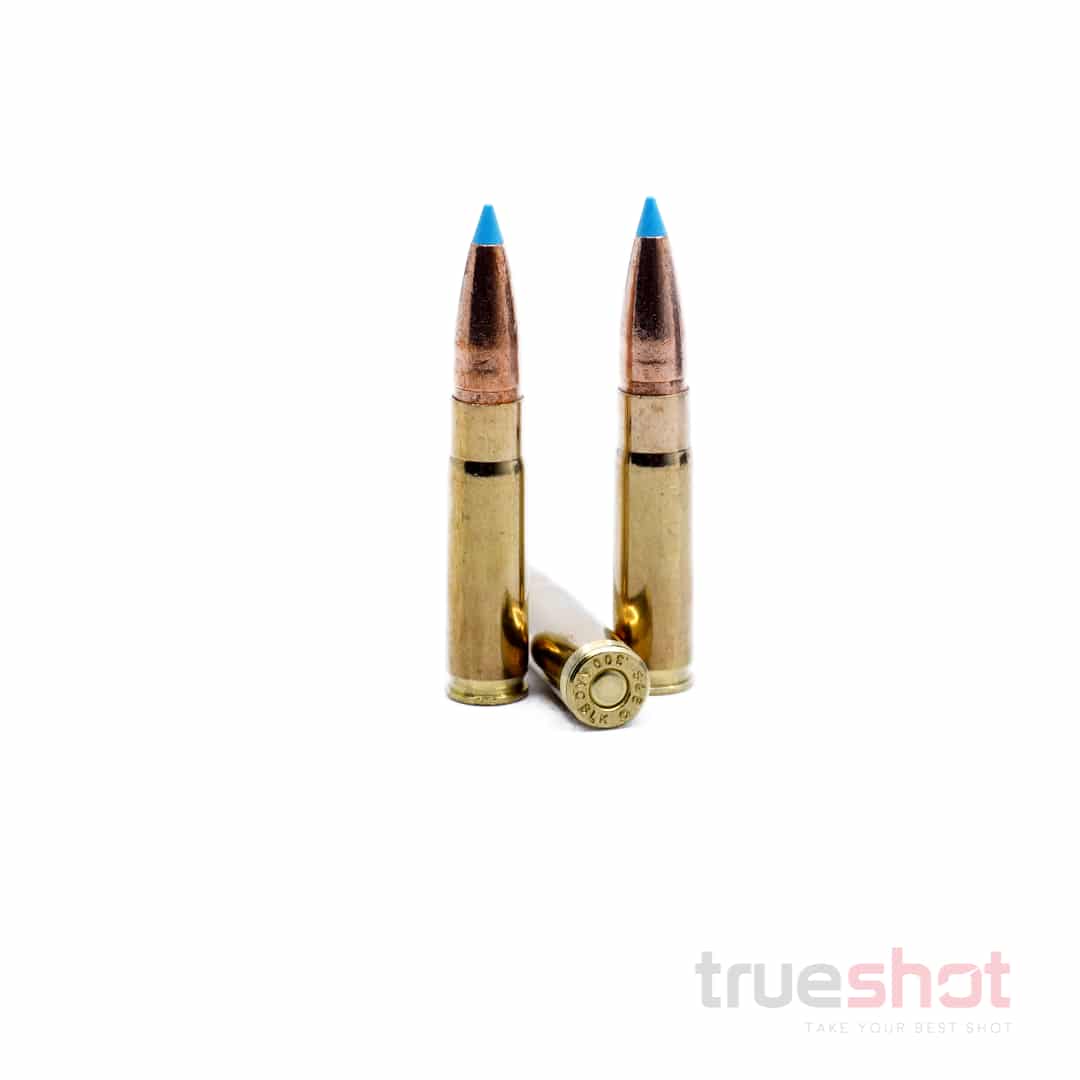 Sellier-Bellot-300-BLK-110-Grain-EXERGY.