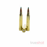 Sierra-Gamechanger-300-Win-Mag-180-Grain-TGK