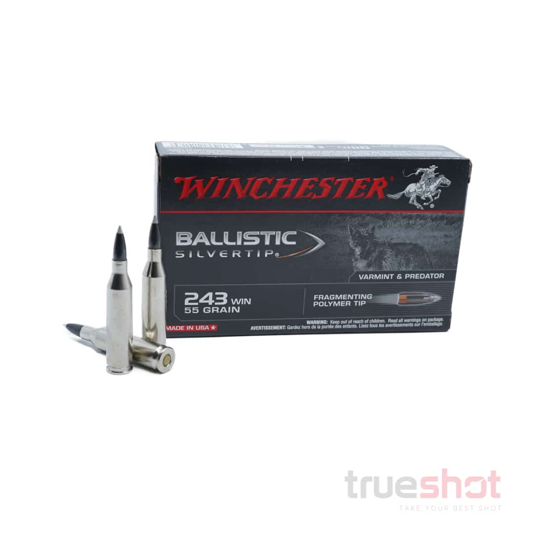 Winchester-Ballistic-Silvertip-243-Win-55-Grain