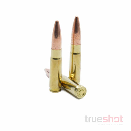 corbon-300-BLK-220-Grain-Sunsonic